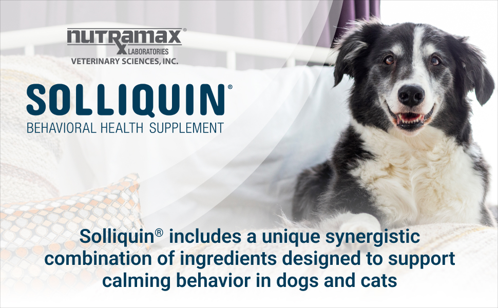 Why Choose Solliquin Nutramax?