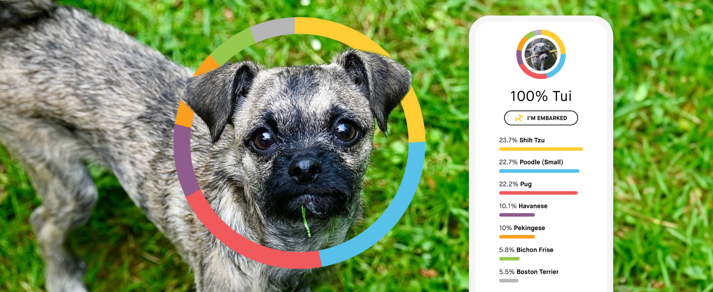 Embark Dog DNA Test Review: The Most Accurate Breed Identification Kit for 2025