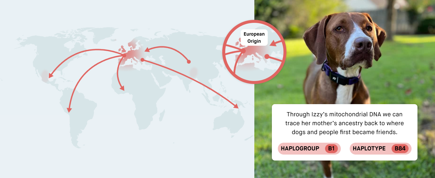 Contributing to Canine Science