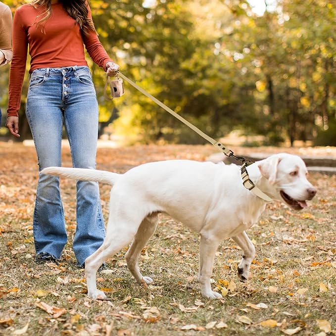 Key Features of Wisedog Dog Collar & Leash Set
