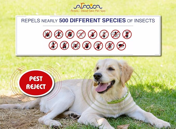 Key Benefits of the Arava Flea & Tick Collar