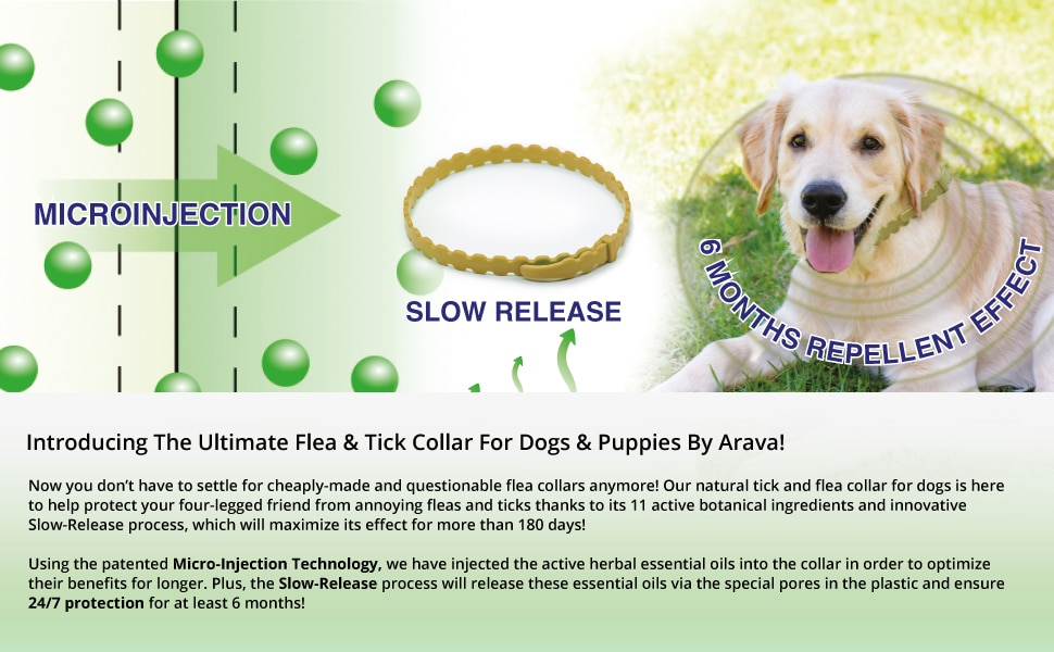 Arava Flea & Tick Prevention Collar – Natural Protection for Dogs with Proven Results