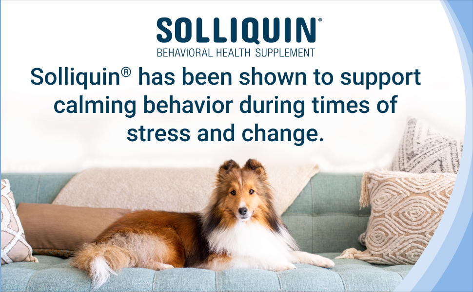 Benefits of Solliquin Nutramax